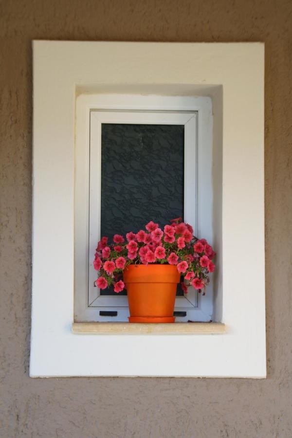 Nikoleta'S Studios Argostolion Exterior foto